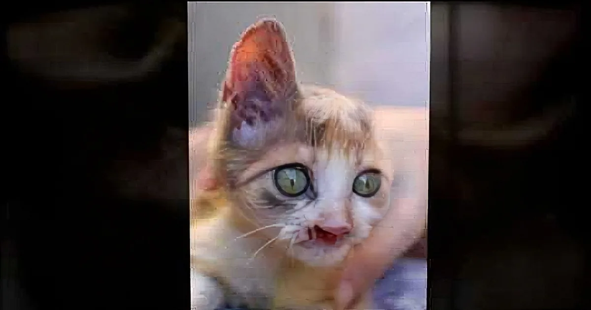 A close-up of a cat with large, expressive green eyes and a slightly open mouth.