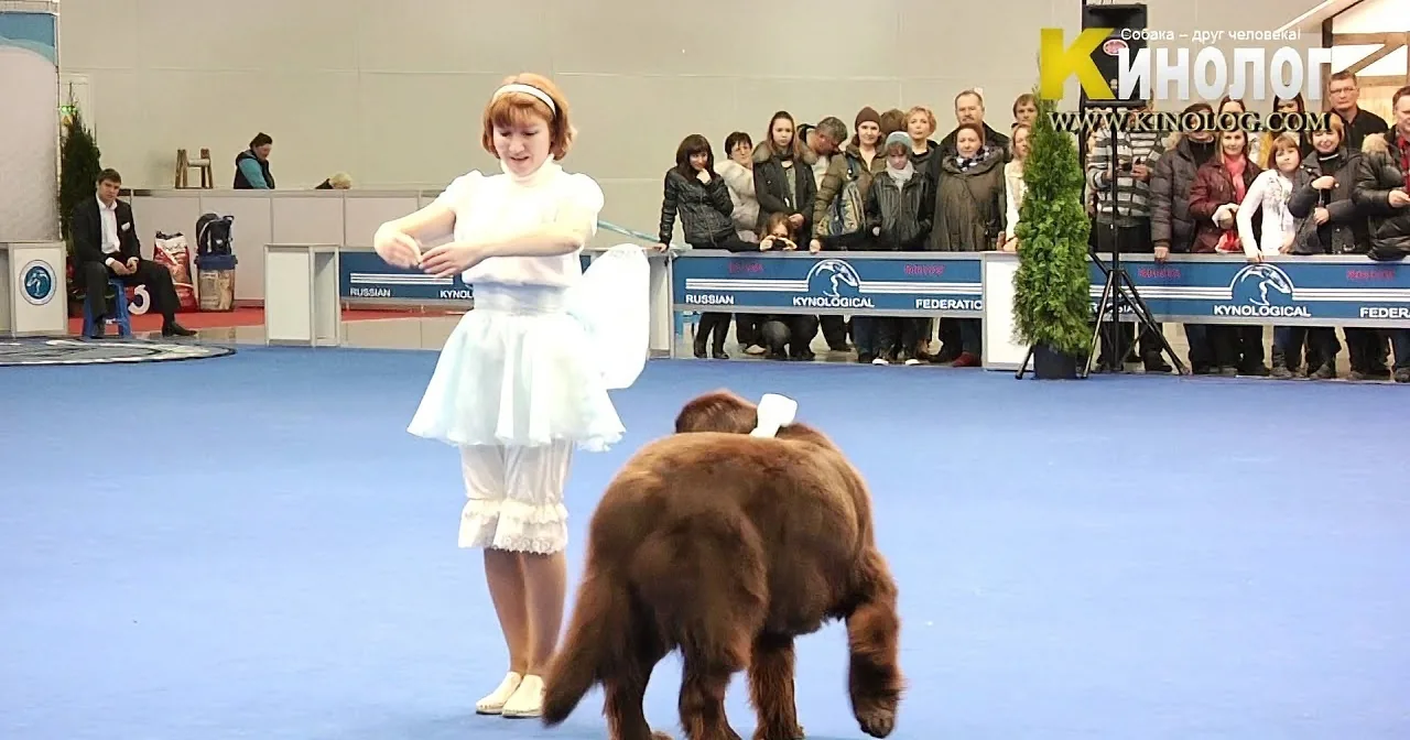 A woman in a white dress stands on a blue carpet with a dog wearing a white outfit, both in front of an audience at a dog...