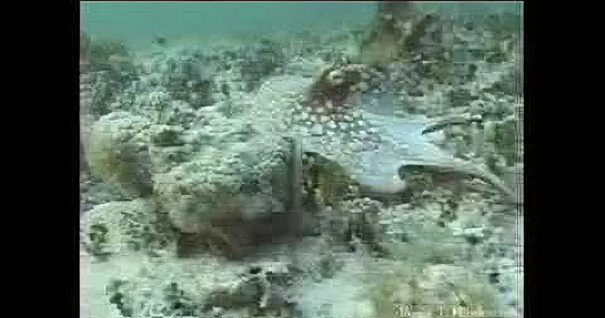 A spotted fish rests on a sandy ocean floor, blending with its surroundings.