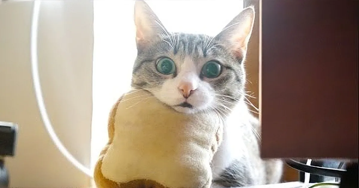 A curious tabby cat with large green eyes sits on a yellow cushion, gazing directly at the camera.