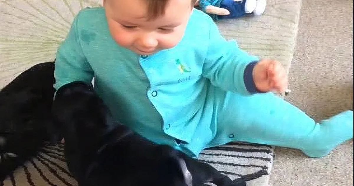 A baby in a teal onesie sits on a carpet, interacting with a black dog.