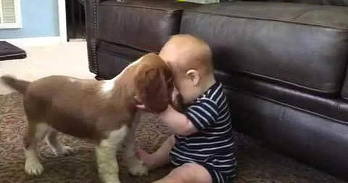 A baby in striped pajamas sits on a couch, playfully interacting with a small brown and white puppy.