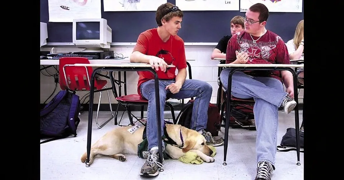 A dog lies under a desk in a classroom, with students sitting above it.