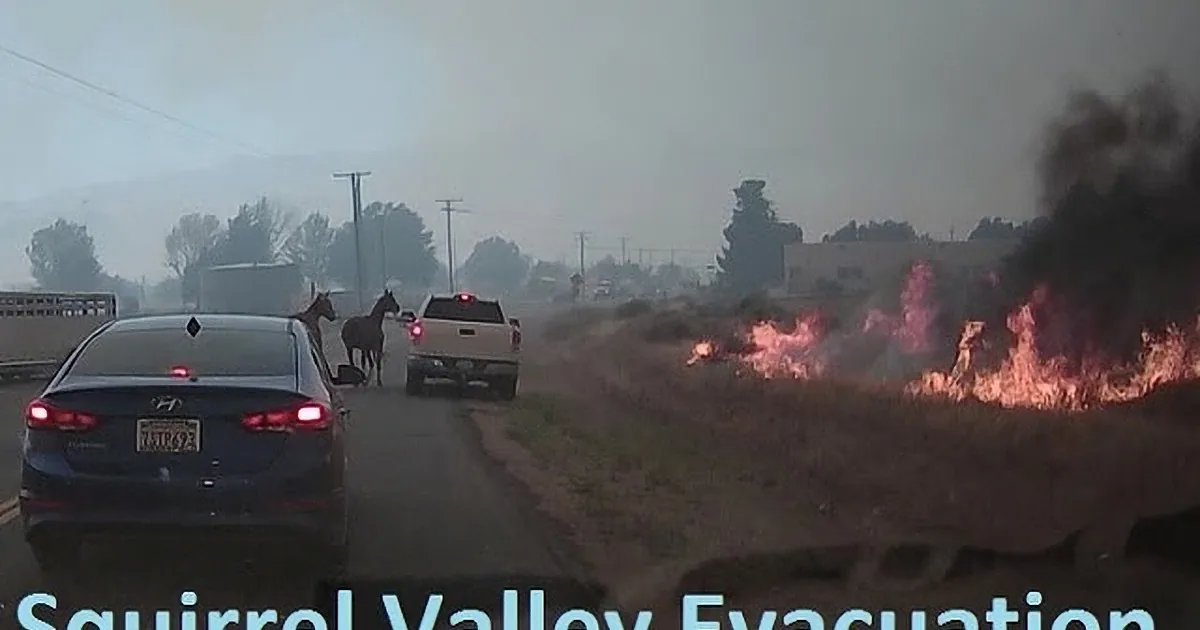 Two Horses Are Trapped in a Wildfire, but Don''t Take Your Eyes off the White Pick up Truck