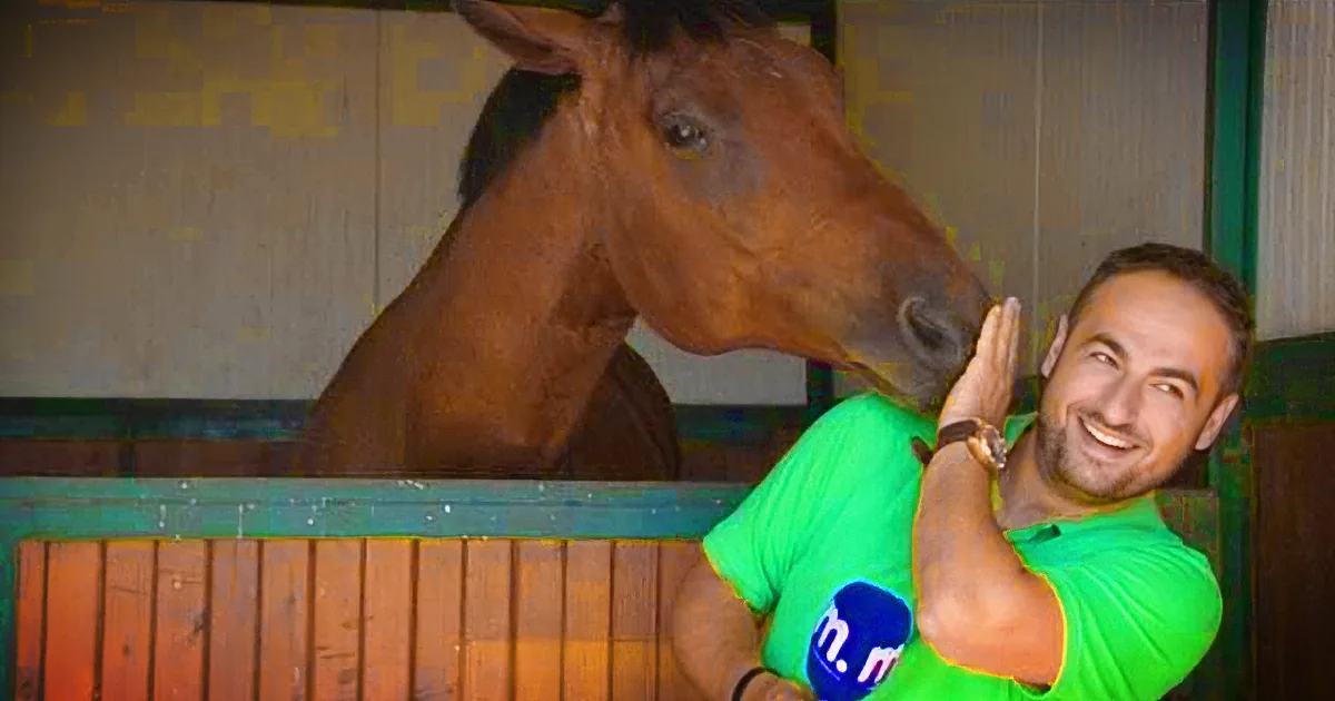 A man in a green shirt smiles as a brown horse leans over a wooden fence to nuzzle him.