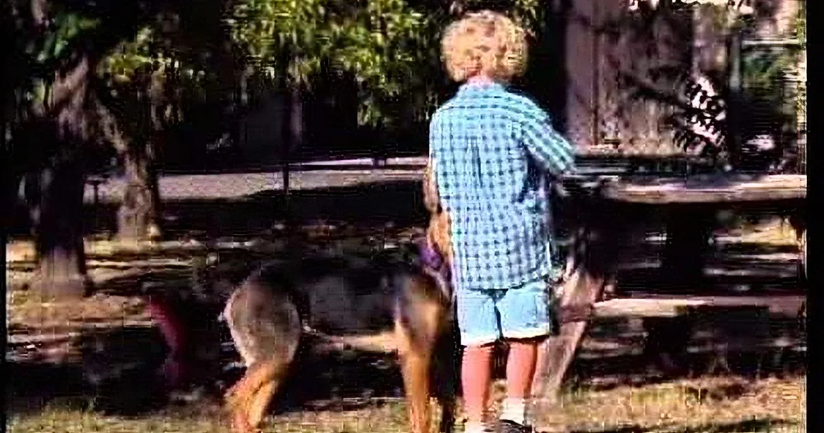A person in a plaid shirt stands near a dog and a turkey in a grassy area with trees and a picnic table.
