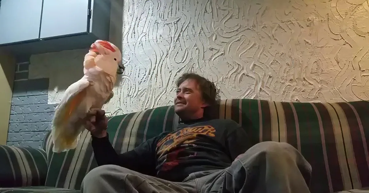 A man sits on a striped couch, holding a white cockatoo perched on his hand.