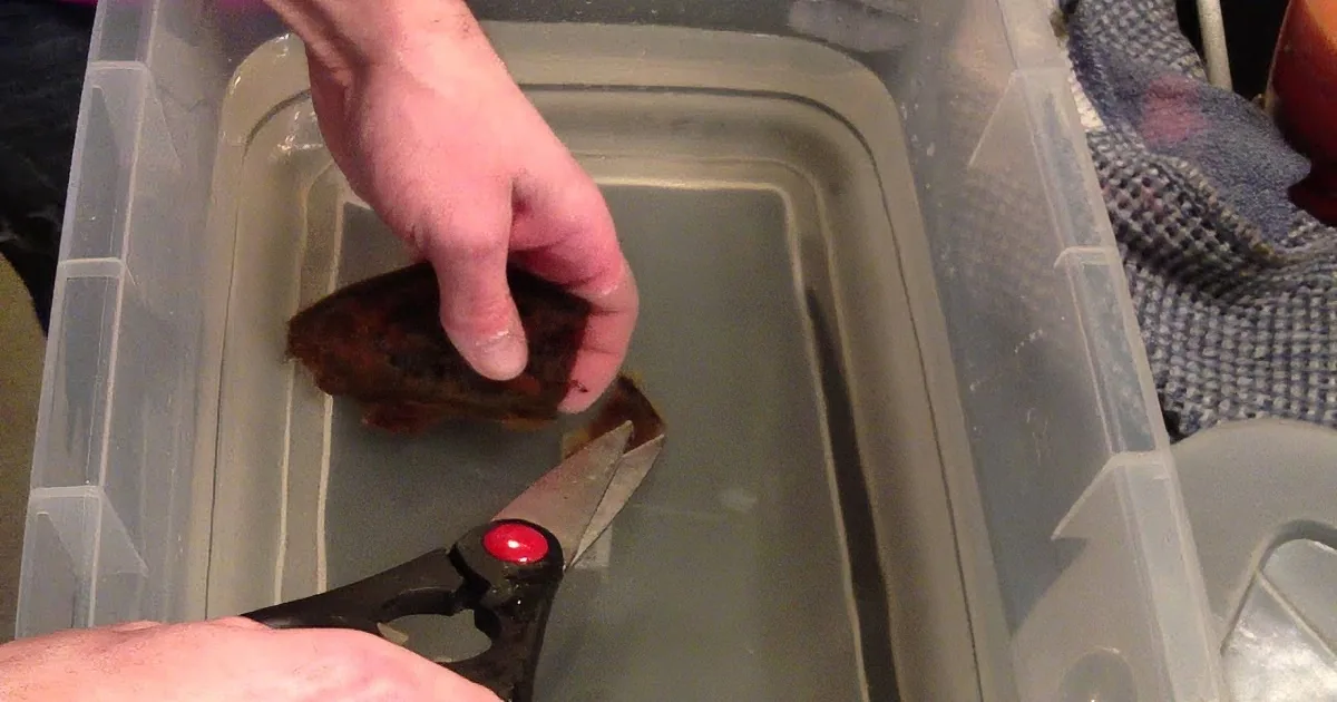 He Started Cutting That Weird Egg, but When This Came out of It? My Jaw Dropped! Whoa