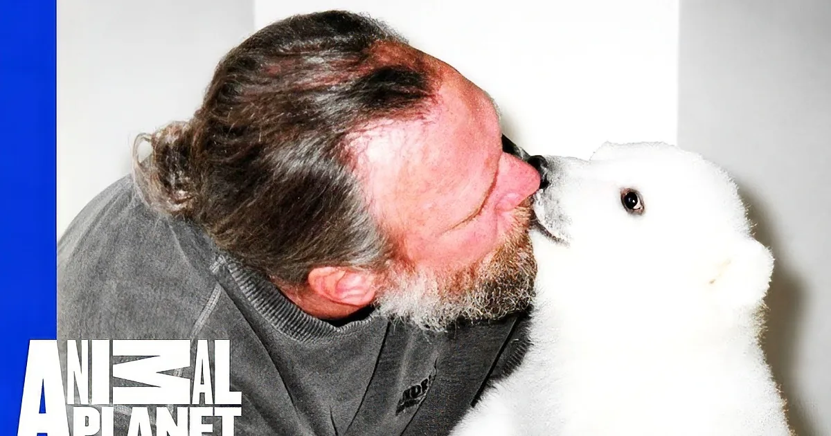 Huge Polar Bear Stares Into That Man''s Eyes, but Pay Attention to the Noise She Makes Next!