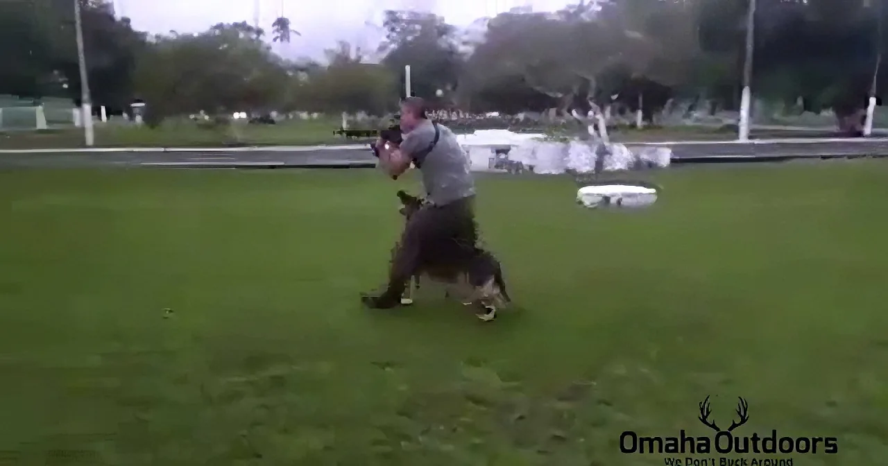 German Shepherd Stands Still With His Owner. but the Moment His Human Moves? Unreal!