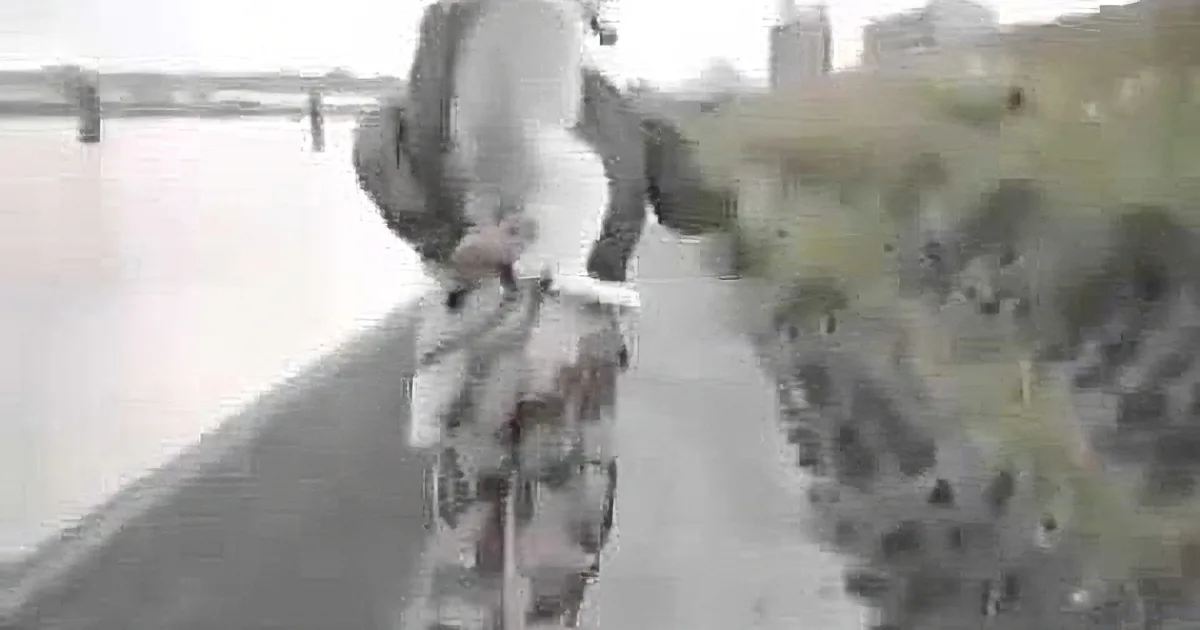 A person in camouflage pants and a backpack is standing on a grassy area near a body of water.