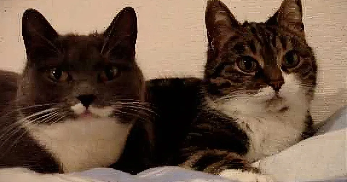 Two cats, one black and white, the other tabby, are lying on a white surface, looking directly at the camera.