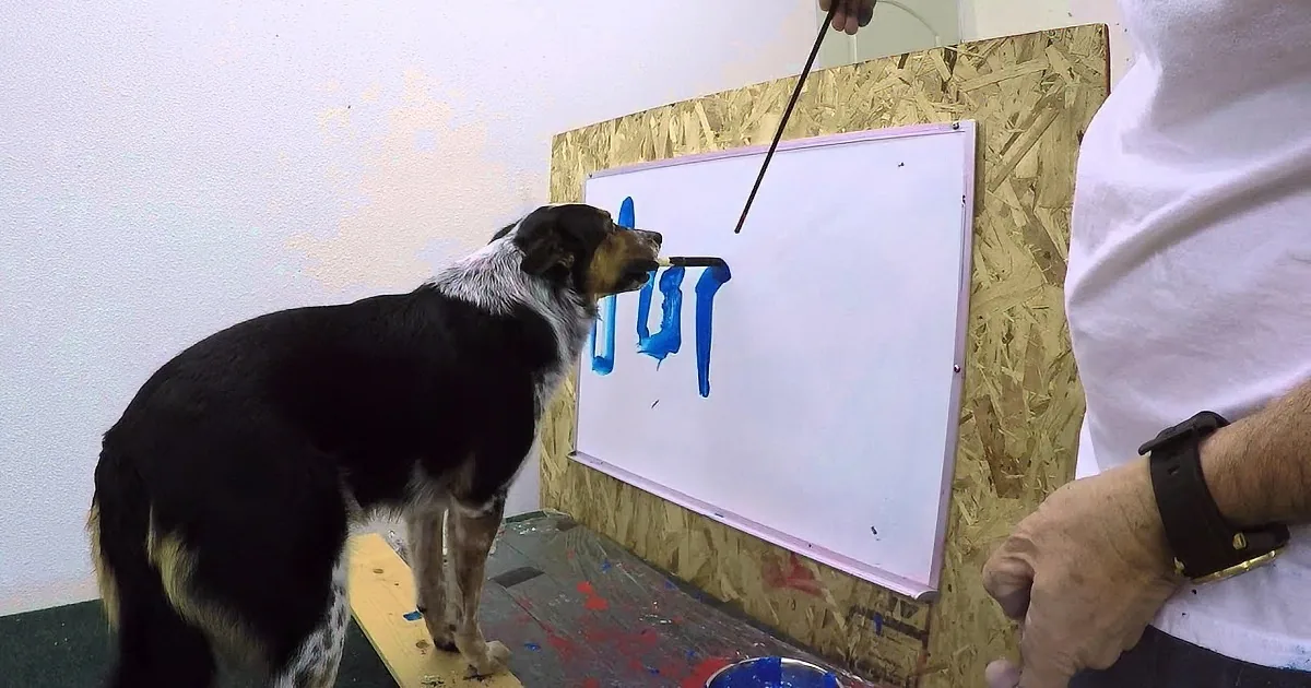 A dog stands on a paint-covered surface, watching a person paint on a whiteboard with blue paint.
