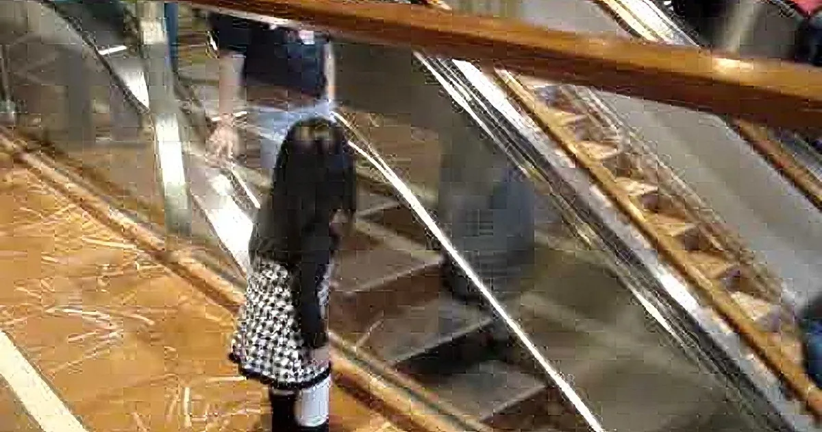 Little Girl Says ''Bye'' to Everyone on the Escalator, but Wait Till You See Their Reaction