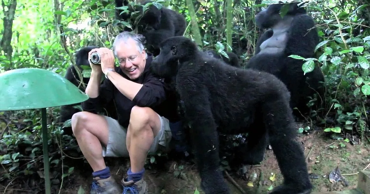 A man is surrounded by gorillas in a lush forest, holding binoculars and smiling.