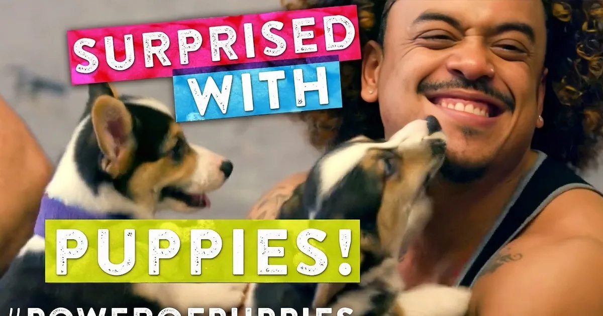 A man smiles while holding two playful puppies, with text overlay saying "Surprised with Puppies!" and hashtag...