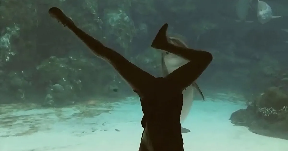 A person in a tank with sharks, arms raised, silhouetted against the water.