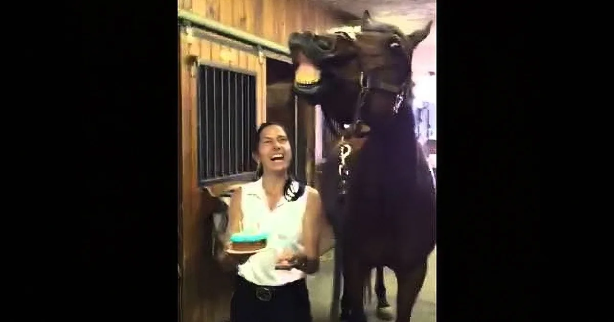 A woman in a stable, laughing, with a horse standing close to her.