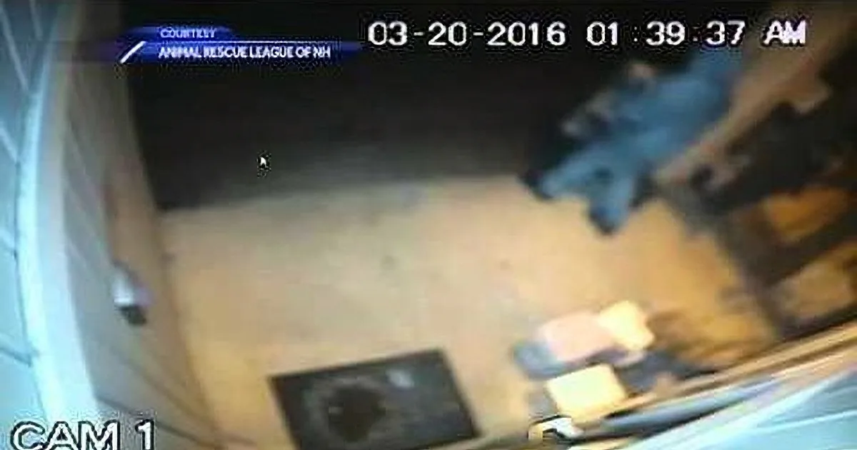 A person in blue is seen through a security camera, possibly entering or exiting a building.