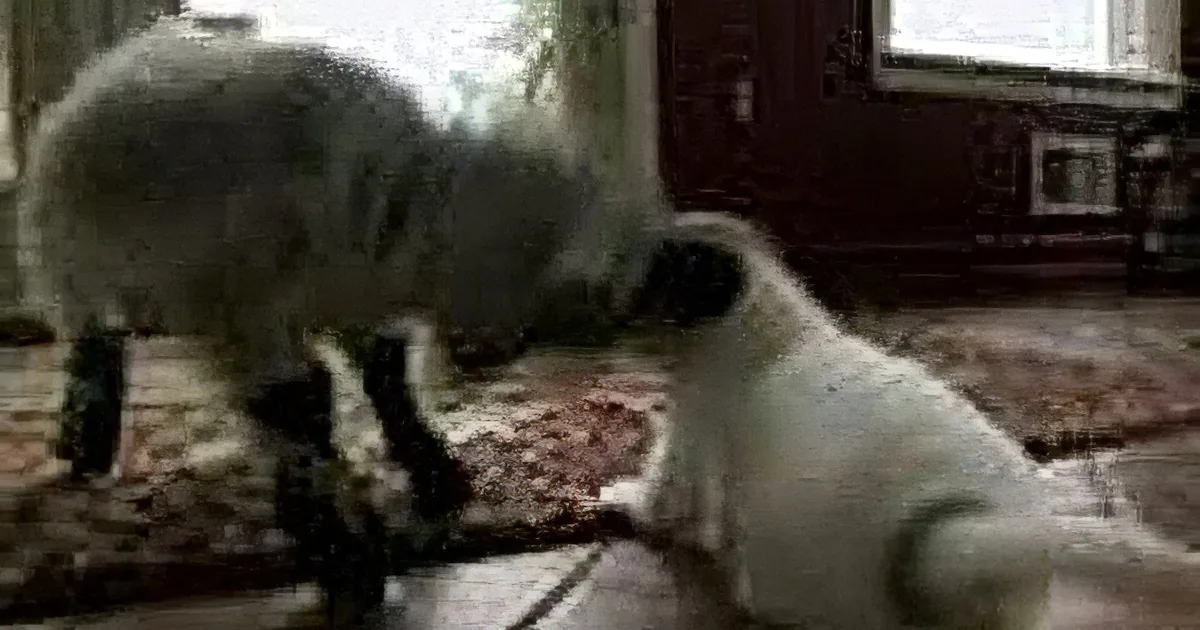 A cat is playfully interacting with a small animal on a patterned rug near a door.