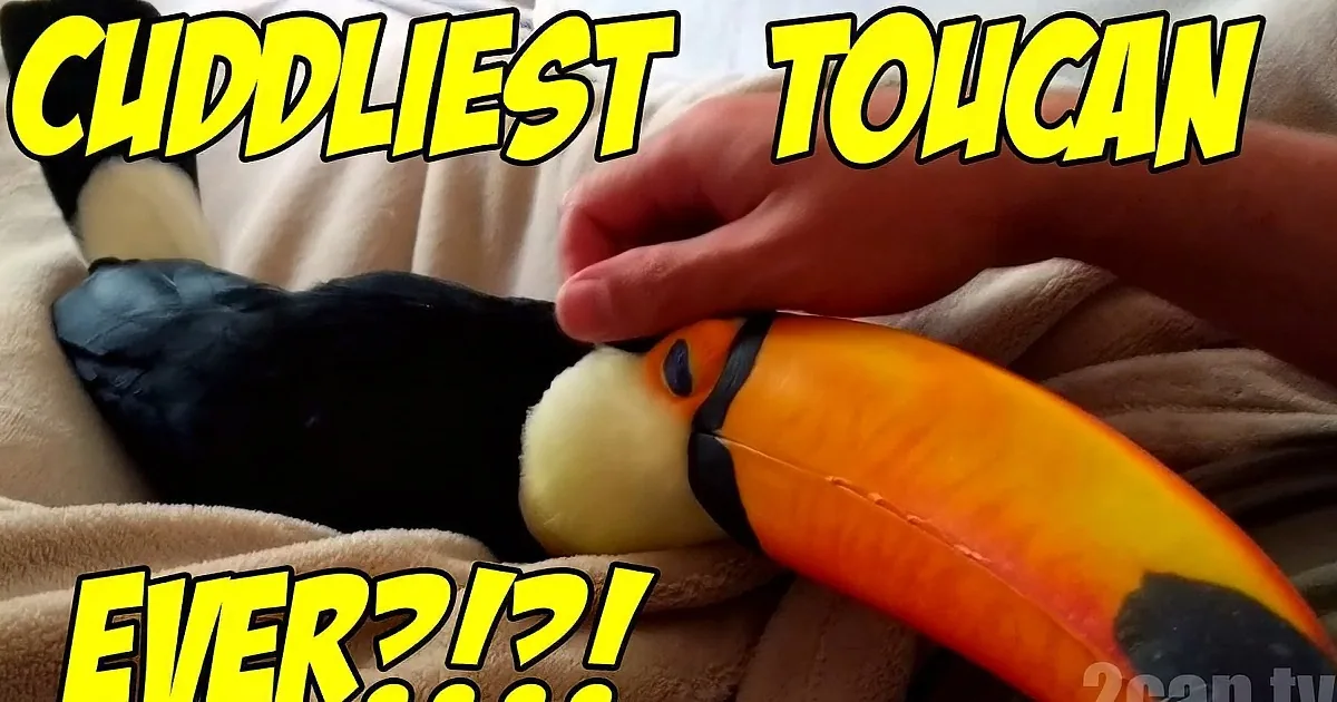 A hand gently pets a plush toucan toy with a large orange beak and black and white feathers.