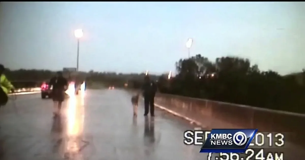 Police Officers Were Driving in a Heavy Storm. but What They Saw on the Road From Their Car? OMG!