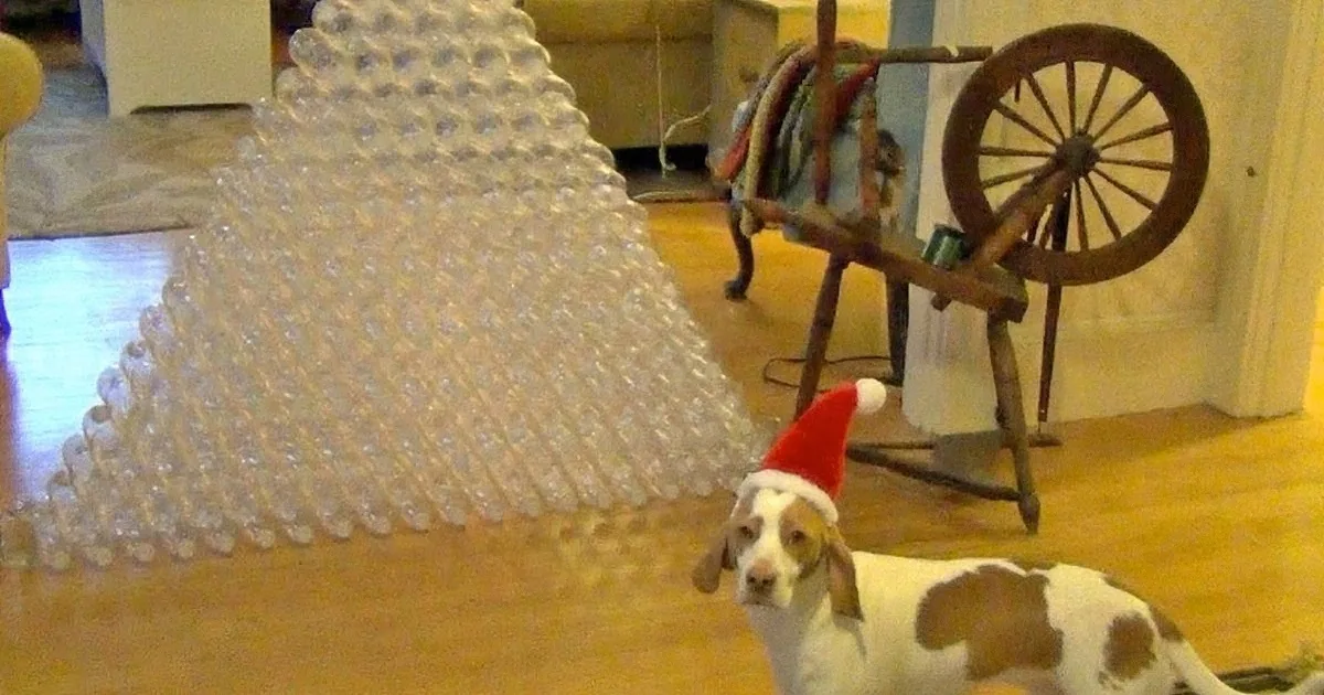 A dog wearing a Santa hat stands near a pyramid of plastic bottles in a room with a spinning wheel.
