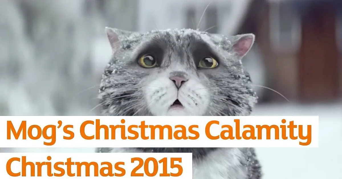 A gray cat with snow on its fur, looking directly at the camera, with text overlay reading "Moa's Christmas Calamity...