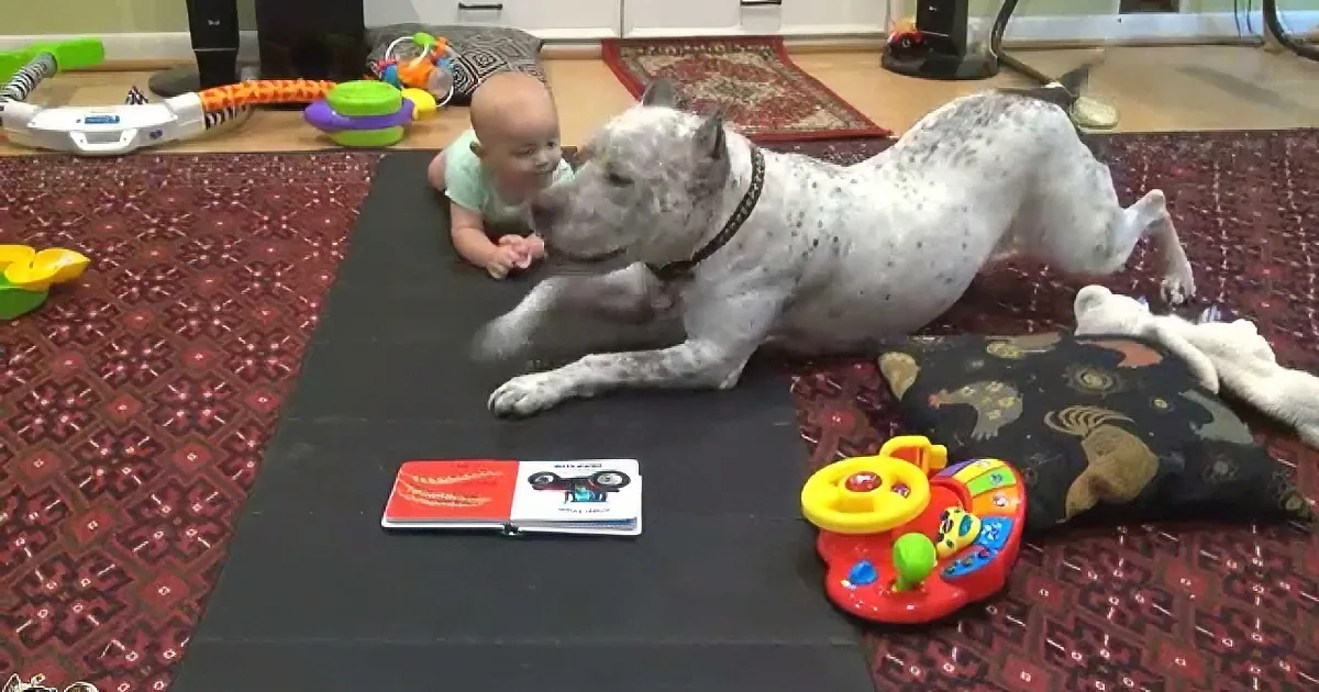 A baby and a large white dog are lying on a patterned rug surrounded by toys.