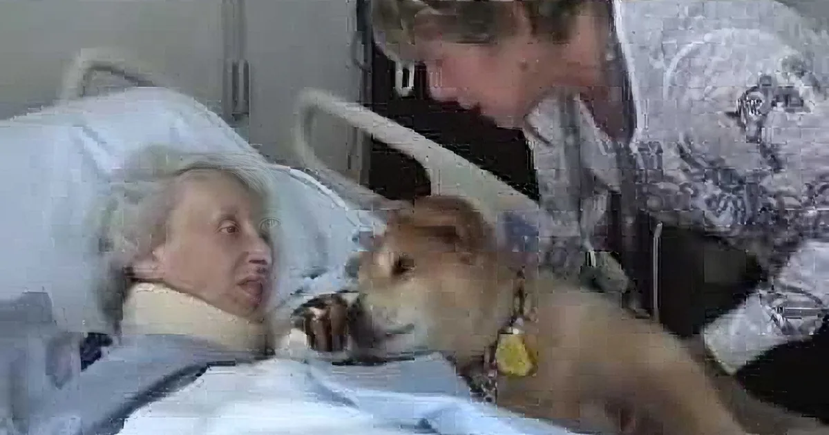 An elderly woman in a hospital bed is being comforted by a small dog and a woman standing beside her.