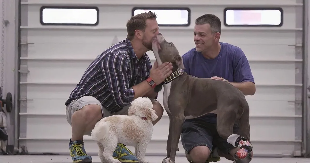 Two men are interacting with a large dog and a small white dog on a concrete surface.
