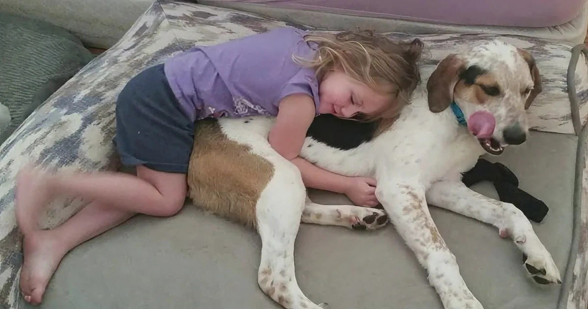 A young girl is cuddling with a large, white and brown dog on a patterned couch.