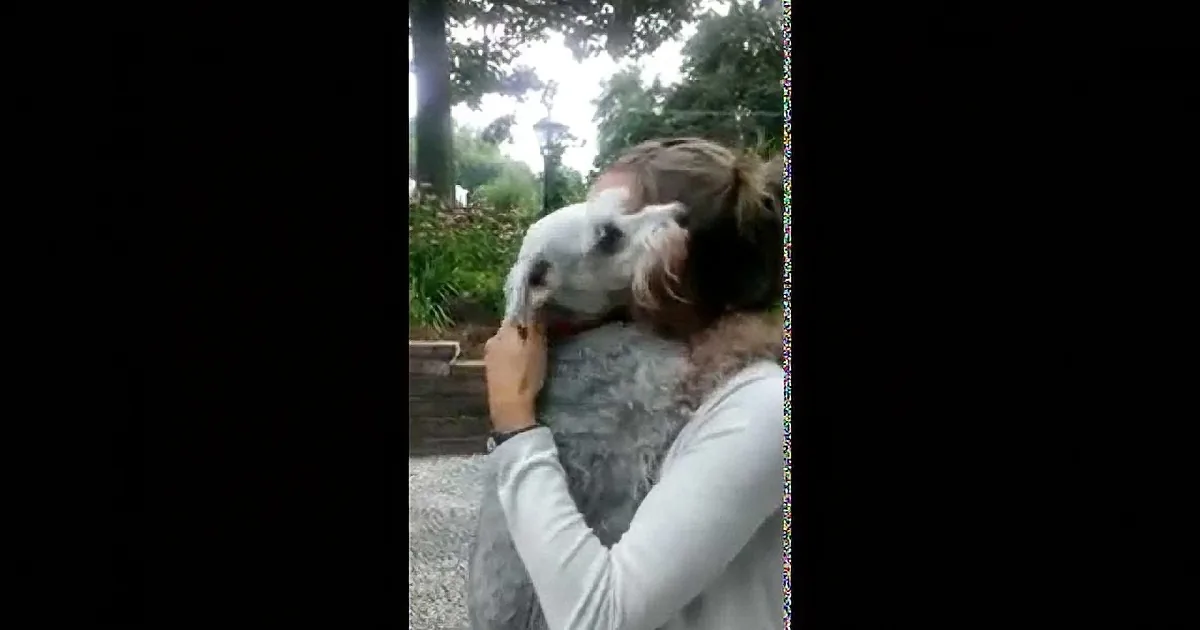 A person holds a small white dog close, both appear happy in a park setting.
