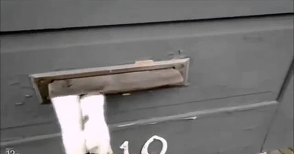 A close-up of a blue door with a mail slot, showing signs of wear and tear.