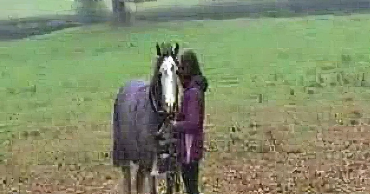 A horse and rider in purple jackets stand in a grassy field, facing the camera.