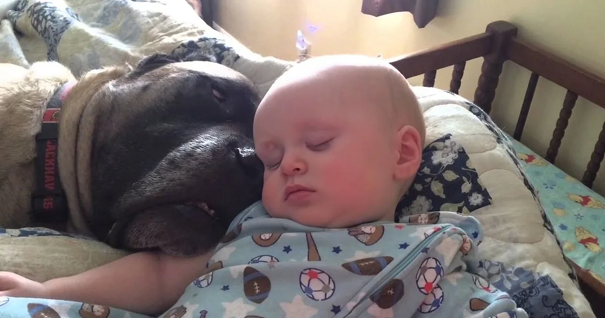 A baby and a dog are cuddling together on a bed, both appearing to be asleep.