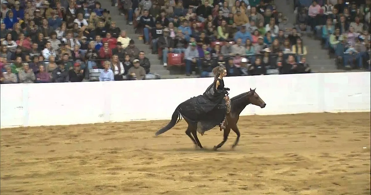 A rider in black attire is riding a horse in an arena, with a crowd watching in the background.
