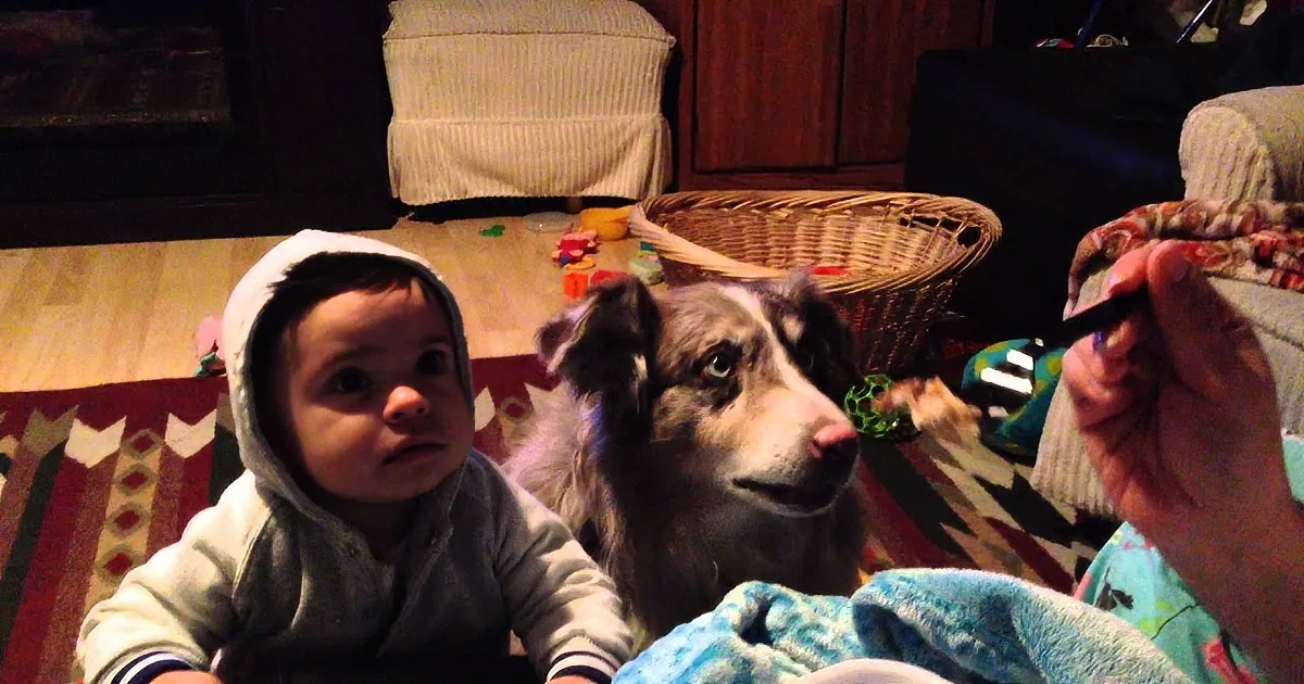 A baby in a hoodie and a dog are interacting with a hand holding a small object, possibly a toy or treat.