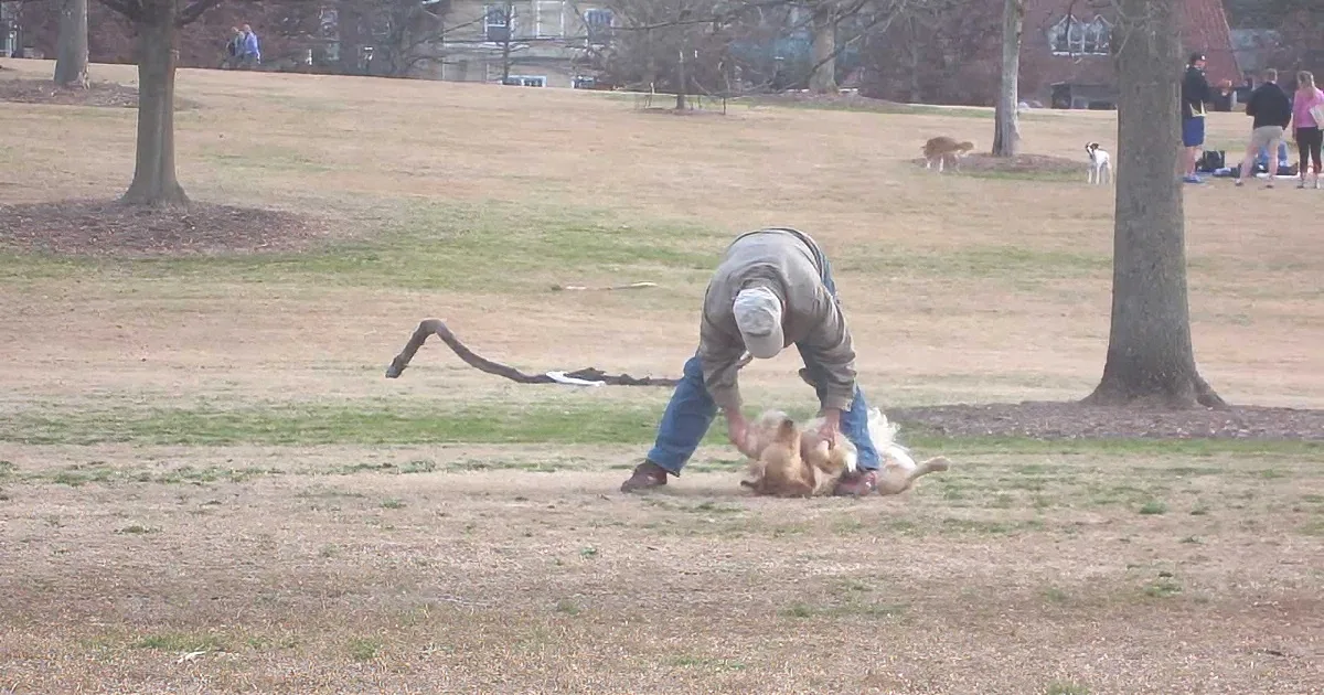 A man bends over in a park, interacting with a dog on the ground.