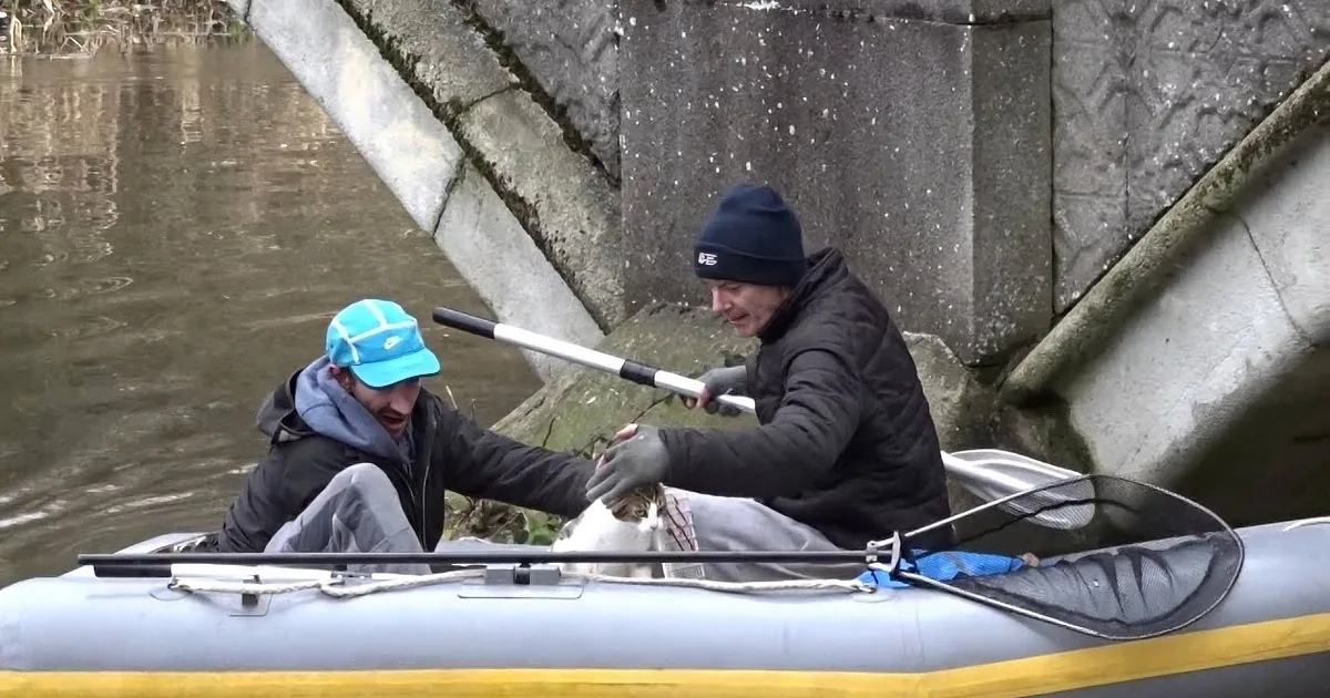 Two people in a kayak under a bridge, one holding a paddle, the other holding a cat.