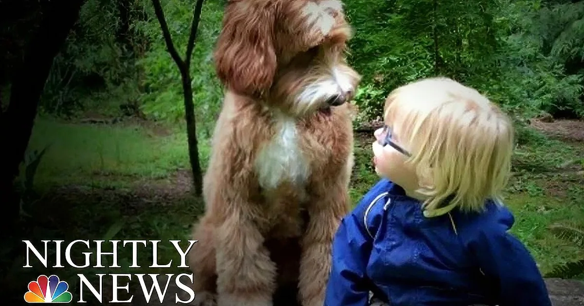 A young child in a blue jacket interacts with a large, fluffy brown dog in a lush forest setting.