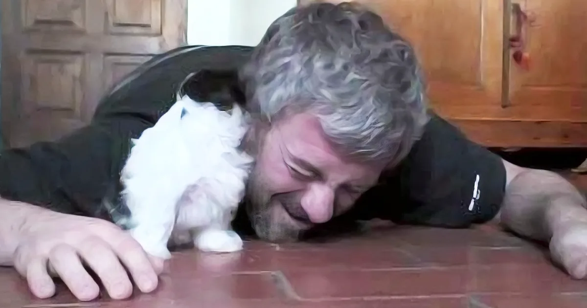 A man is lying on a wooden floor, smiling, with a black and white cat nestled close to him.