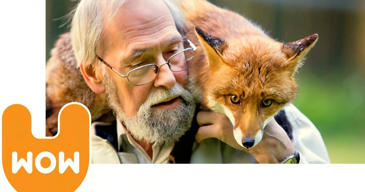 An elderly man holds a fox, both appearing calm and close, with a "WOW" graphic in the corner.