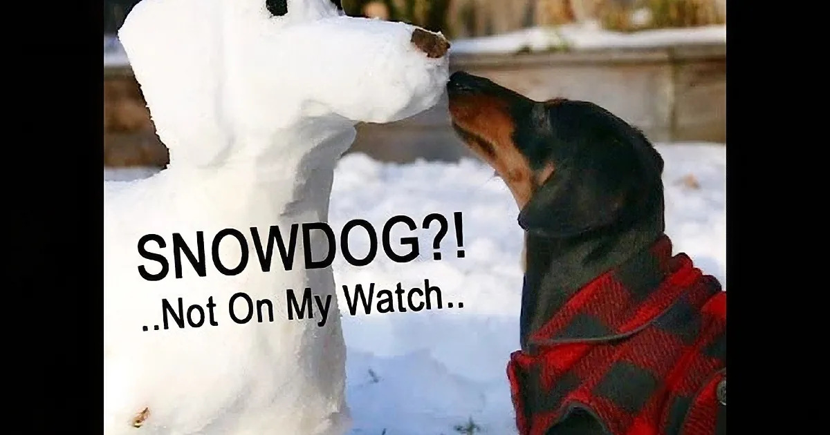 A dog wearing a red jacket is about to kiss a snowman in a snowy setting.