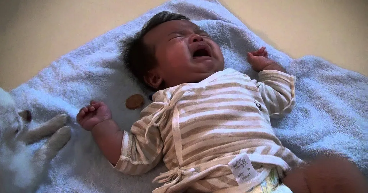 A baby in a striped outfit is lying on a white towel, appearing to cry.