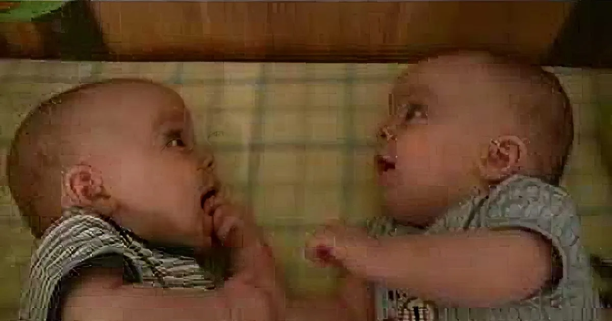 Two babies in a crib, one holding a toy, looking at each other.