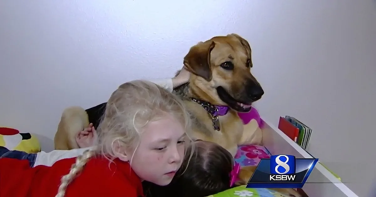 A dog and children are lying on a bed with colorful blankets, appearing relaxed and content.