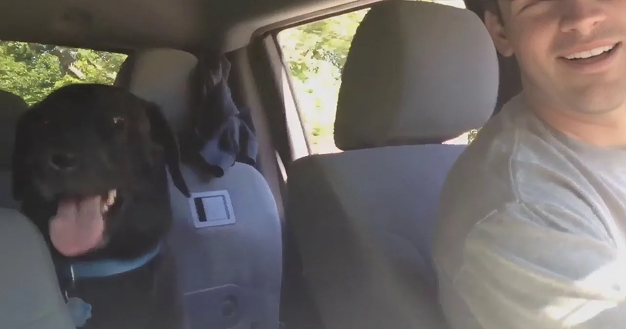 A man and a black dog are in a car, with the dog sitting on the passenger seat and the man in the driver's seat.