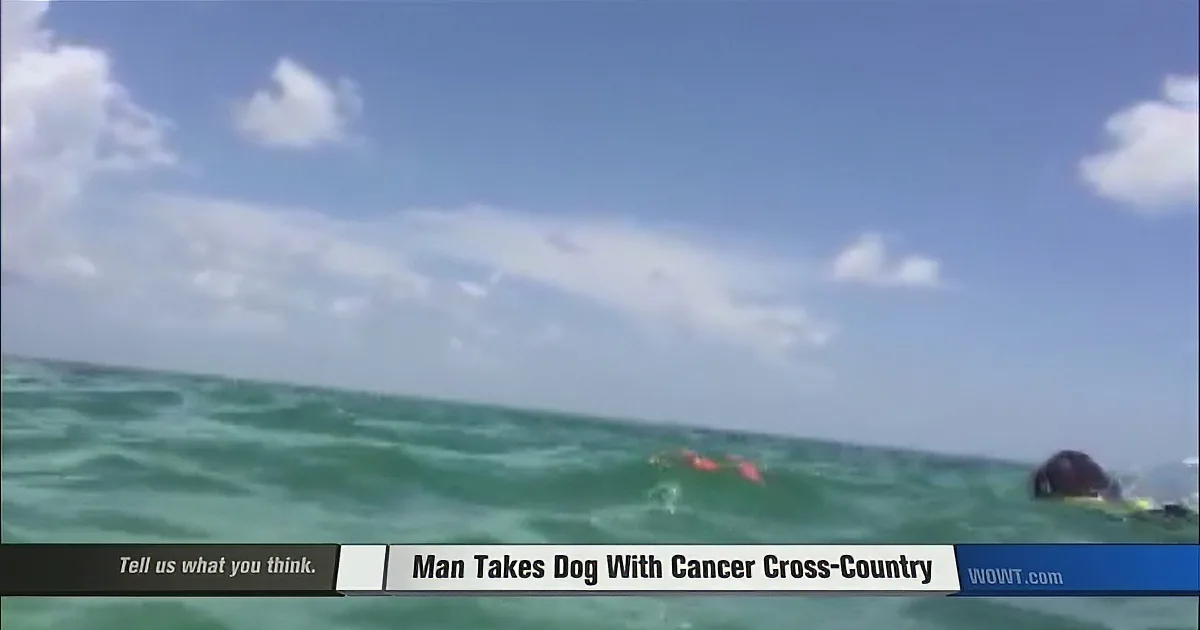 Dog Diagnosed With Cancer Goes on Cross Country Road Trip With Owner.. True Love!