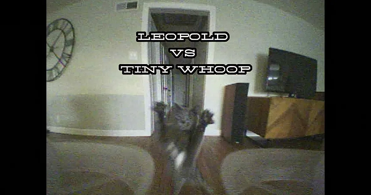 A cat stands in a doorway, with text above reading "LEOPOLD VS TINY WHOOP."